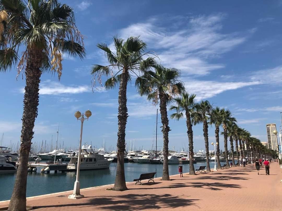 Apartamento CasaTuris Pintor Lorenzo A105 Alicante Exterior foto