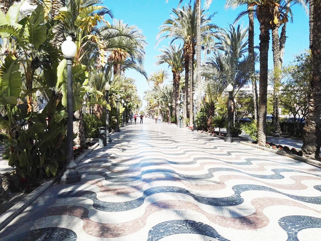 Apartamento CasaTuris Pintor Lorenzo A105 Alicante Exterior foto